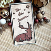 Creative Expressions Craft Dies -One-Liner Collection Safe & Warm CEDSE015