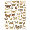 3 Pack 49 And Market Essential Rub-Ons 6"X8" 2/Sheets-Butterflies 01 VB37520