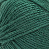 Bernat Fabwoolous Yarn-Pine - 161125-25018