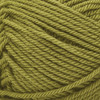 Patons Canadiana Yarn - Solids-Spring Green - 244510-10760