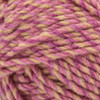 Bernat Forever Fleece Yarn-Dancing Queen 166061-61041