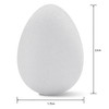 3 Pack - FloraCraft CraftFoM Egg 6/Pkg-1.75"X2.4" - EG25S 3 Pack - FloraCraft CraftFoM Egg 6/Pkg-1.75"X2.4" - EG25S
