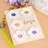 Spellbinders Etched Dies By Simon Hurley-Everyday Sentiments -Metamorphosis - S5564 Spellbinders Etched Dies By Simon Hurley-Everyday Sentiments -Metamorphosis - S5564