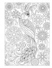 2 Pack - Creative Haven: Fanciful Birds Coloring Book-Softcover - B6850405