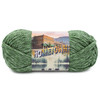 3 Pack Lion Brand Hometown Yarn-Everglades 135-241G - 023032113807