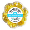 Buttons Galore Treasure Box-Citrus Splash TBX-108 - 840934072045