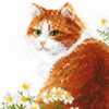 RIOLIS Counted Cross Stitch Kit 9.5"X11.75"-Ginger Meow (10 Count) R2110