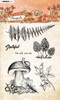 Studio Light Autumn Bouquet Clear Stamps-Nr. 508, Autumn Days STAMP508 - 8713943144978