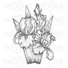 Heartfelt Creations Cling Rubber Stamp Set-Iris Garden Blooms HCP31021