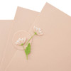 Spellbinders Color Essentials Cardstock 8.5"X11" 10/Pkg-Peach Sorbet SPCS-051 - 813233032959