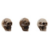 Tim Holtz Idea-Ology Skulls + BonesTH94339