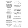 Spellbinders Clear Acyrlic Stamps By Bibi Cameron-Hummingbird Sentiments - STP169