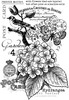 Woodware Clear Stamps 4"X6"-Singles Hydrangea FRS981
