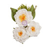 Prima Marketing Mulberry Paper Flowers-Full Bloom/Spring Abstract - P663629