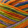 Premier Canyon Colors-Fall - 2098-10