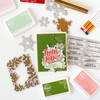 Pinkfresh Studio Hot Foil Plate & Die Set-Holly Jolly PF211523