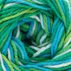 Lily Sugar'n Cream Yarn Ombres Super Size-Emerald Energy 102019-19990
