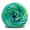 Lily Sugar'n Cream Yarn Ombres Super Size-Emerald Energy 102019-19990