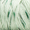 3 Pack - Caron Simply Soft Speckle Yarn-White Sage - 294961-61017