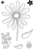 2 Pack Woodware Clear stamps 4"X6"-Singles Petal Doodles With Love JGS859