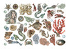 Stamperia Cardstock Ephemera Adhesive Paper Cut Outs-Songs Of The Sea Mermaids - DFLCT29
