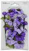 49 And Market Wildflowers Paper Flowers-Kismet 49FMW-40360 - 752505140360