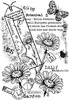 2 Pack Woodware Clear Stamp 4"X6"-Singles Garden Daisies FRS1023