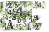 AALL And Create Layer-It-Up Washi Tape-Leafy Alphas - ALLMT071