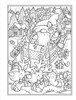 Creative Haven: Christmas Gnomes-Softcover B6851549