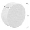 FloraCraft CraftFoM Discs 6/Pkg-1"X2.8" - D31WS636