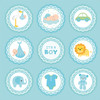 3 Pack - Little Birdie Little Miracle Cardstock Pack 6"X6" 24/Pkg-Baby Boy - CR85664
