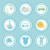 3 Pack Little Birdie Little Miracle Cardstock Pack 6"X6" 24/Pkg-Baby Boy CR85664