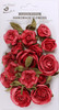 2 Pack - Little Birdie Foina Paper Flowers 20/Pkg-Candy Mix - FOINA-91567 - 8903236740202
