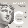 Willow Wolfe Callia Artist Round Brush-12 1200R12