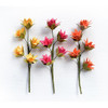 Little Birdie Queenie Paper Flower Stems 3/Pkg-Boho Vibes QUEENIE-82828