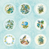 Little Birdie Cardstock 12"X12" 12/Pkg-Aqua Medley - CR79506
