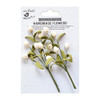 Little Birdie Tulip Bouquet 2/Pkg-Shabby Chic TULIPBQT-83110 - 8903236654035