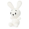 Red Heart Amigurumi Kit-Popcorn The Bunny RHPP788