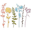 Sizzix Thinlits Dies By Tim Holtz 6/Pkg-Vault Wildflowers 666565