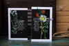 Sizzix Thinlits Dies By Tim Holtz 6/Pkg-Vault Wildflowers 666565