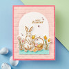 Spellbinders Press Plate & Die By Simon Hurley-Spring Bunnies, Spring Sampler BP156