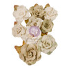Prima Marketing Paper Flowers 10/Pkg-Floral Splendor, In The Moment - P668341 - 655350668341 Prima Marketing Paper Flowers 10/Pkg-Floral Splendor, In The Moment - P668341 - 655350668341