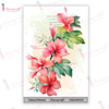 6 Pack Dress My Craft Transfer Me Sheet 4"X6"-Tropical Beauty MCDP6525 - 194186018963