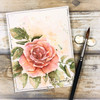 Colorado Craft Company Clear Stamps 6"X6"-Smell The Roses By Anita Jeram BB960