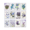 6 Pack - Little Birdie Journaling Cards 4"X6" 24/Pkg-Purple Passion - CR79489 6 Pack - Little Birdie Journaling Cards 4"X6" 24/Pkg-Purple Passion - CR79489