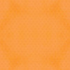 25 Pack Say Cheese Wild Double-Sided Cardstock 12"X12"-Wilderness Explorer 5A0022JN-1G5C8