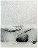 Harmony Diamond Chic Glitter Cardstock 8.5"X11" 20/Pkg-Platinum A50022P6-G15PP - 191648172942