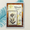 Creative Expressions Clear Stamp Set 4"X6" By Sam Poole-Bloom 5A00243X-1G7F6