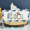 6 Pack Dress My Craft Shaker Elements 8gms-Christmas Penguin Slices 5A00260N-1G8SL