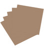 Harmony Hues 65# Cardstock 12"X12" 20/Pkg-Kraft 5A0022PF-1G5PB